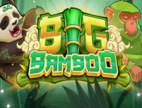 bingo and slots online